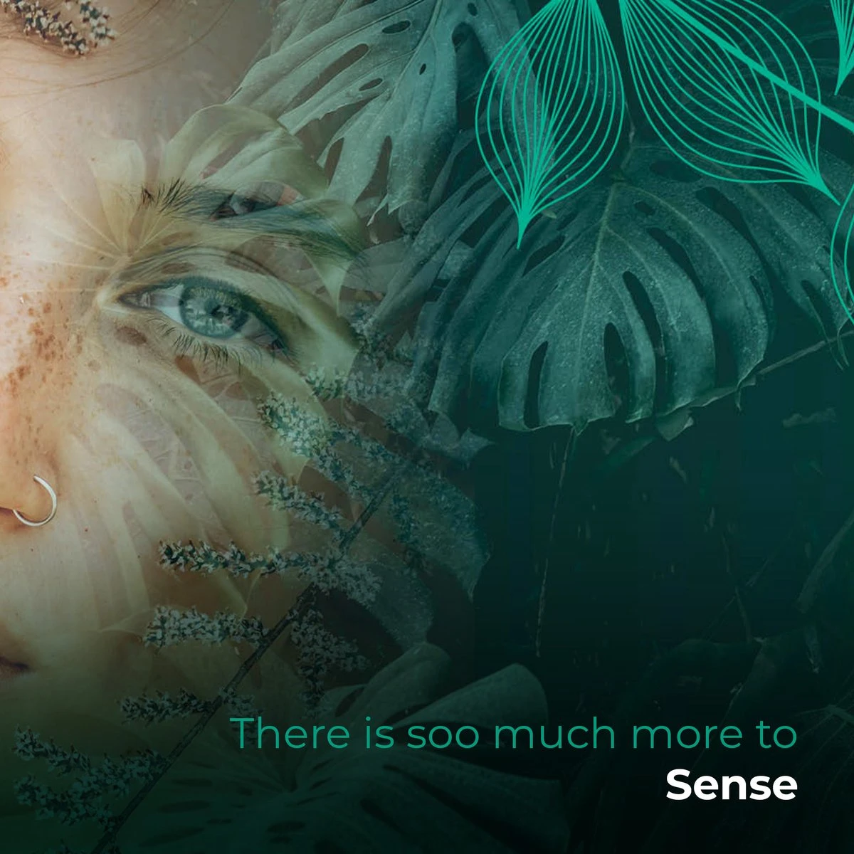 Soolong Sense Oost Timor Nr1000 Koffiebonen Smooth Lacau - Speciality Koffie Arabica Medium Roast Met Rijke Kruidige Smaak Met Heerlijke Ondertonen Van Karamel - Zak 250gram - Afbeelding 2