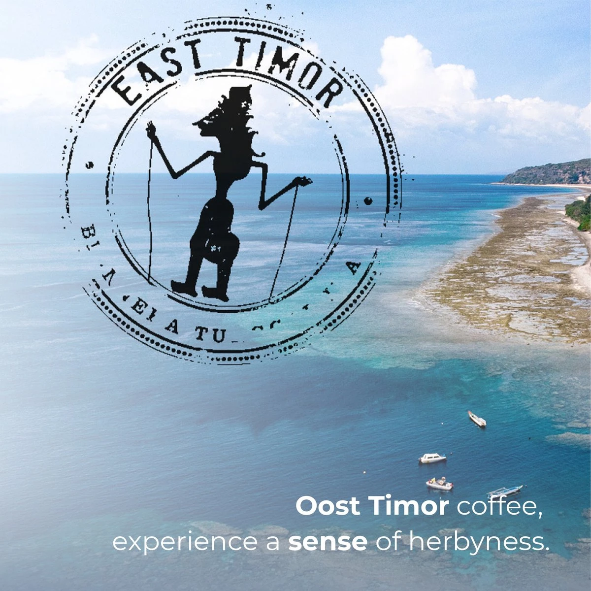 Soolong Sense Oost Timor Nr1000 Koffiebonen Smooth Lacau - Speciality Koffie Arabica Medium Roast Met Rijke Kruidige Smaak Met Heerlijke Ondertonen Van Karamel - Zak 250gram - Afbeelding 4