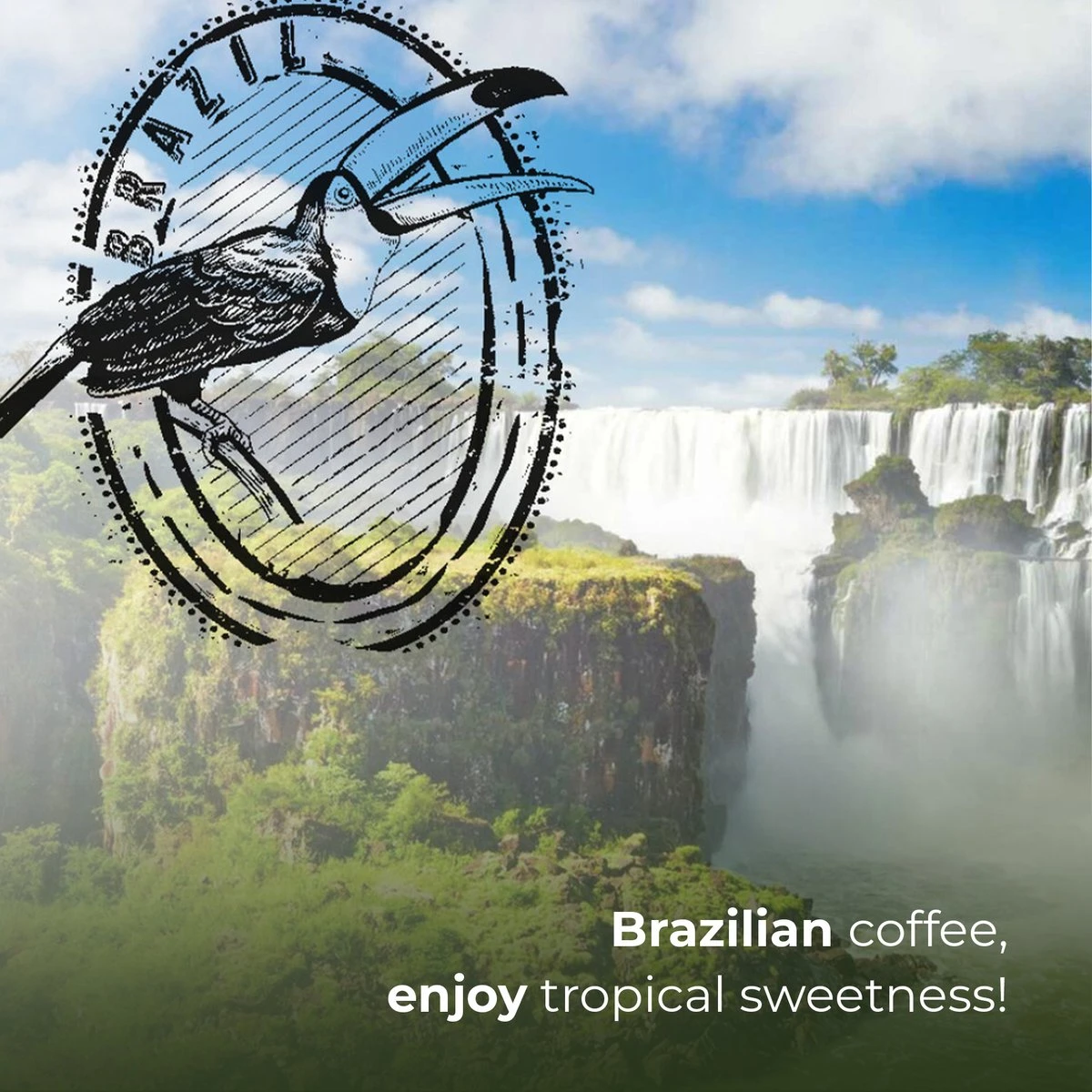 Soolong Enjoy Brazilie Nr4000 Koffiebonen Topacio Lungo - Speciality Koffie Arabica Medium Roast, Light Body Met Een Verfijnde Zacht Zoete Smaak. - Zak 250gram - Afbeelding 7